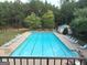 A long community swimming pool is surrounded by lounge chairs for the neighborhood's relaxation at 9108 Alden Dr, Locust Grove, GA 30248