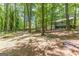 The backyard has room to run and mature trees to provide shade, with a view of the back of the home at 146 Highland Cir, Mcdonough, GA 30253