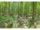 The backyard has a small creek with dense tree coverage and a lush green understory at 146 Highland Cir, Mcdonough, GA 30253