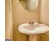Bathroom sink with a vintage mirror on a neutral colored wall at 11224 Aliyah Dr, Hampton, GA 30228