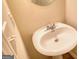 Classic bathroom sink with pedestal base and simple faucet design at 11224 Aliyah Dr, Hampton, GA 30228