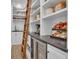 Walk-in pantry includes a rolling ladder, wine fridge, quartz counters and open shelving at 105 Suffolk Pl, Fayetteville, GA 30215