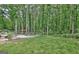 Large backyard featuring a well-maintained lawn, lush greenery, and wooded landscape at 135 Adams Park Dr, Fayetteville, GA 30214