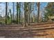 Wooded backyard featuring mature trees, creating a private and natural setting at 1120 Starline Dr, Smyrna, GA 30080