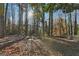 Lush backyard with mature trees, offering a serene and private outdoor space at 1120 Starline Dr, Smyrna, GA 30080