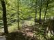 View of the wooded backyard with mature trees, a lake and a path at 5363 Forest Dr, Loganville, GA 30052