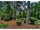 Beautifully landscaped front yard with mature trees and manicured shrubbery at 400 Peachtree Pkwy, Peachtree City, GA 30269