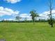 Lush green field dotted with trees set against a bright blue sky and fluffy white clouds at 357 Old Driver Rd, Whitesburg, GA 30185