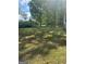 Expansive backyard featuring a vast lawn area and lush trees at 6070 Ridge Way, Douglasville, GA 30135