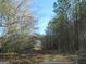 A dirt road or driveway lined by tall trees with dense foliage on both sides at 526 Mount Carmel Church Rd, Temple, GA 30179
