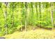 Lush wooded backyard with mature trees offering privacy and a serene natural setting at 120 Majesty Ln, Fayetteville, GA 30215