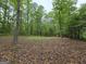 Beautiful wooded land, featuring mature trees and natural surroundings at 563 Deadwood Trl, Locust Grove, GA 30248