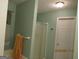 Bathroom with shower and bath, featuring a green painted wall at 25 Lake Charles Ct, Covington, GA 30016