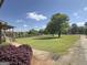 Large grassy yard with mature shade trees and landscaping at 72 S Bethany Rd, Mcdonough, GA 30252