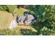 Overhead shot of charming home with manicured lawn, surrounded by mature trees at 1231 Hillview Rd, Hampton, GA 30228