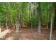 Wooded property with mature trees offering shade and privacy at 2698 Pleasant Grove Church Rd, Villa Rica, GA 30180