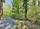 View of a wooded backyard, offering a peaceful retreat at 143 Tara Blvd, Loganville, GA 30052