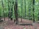 Secluded backyard picnic area surrounded by lush trees and natural beauty at 332 Wyngate Rd, Auburn, GA 30011