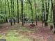 Overhead backyard view of a cozy home surrounded by lush greenery, including two small outbuildings at 332 Wyngate Rd, Auburn, GA 30011