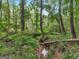 Scenic view of a creek flowing through a lush, wooded area at 930 Singley Dr, Locust Grove, GA 30248