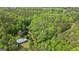 Picturesque wooded property featuring a charming home with a blue roof nestled among mature trees at 725 & 761 School Road, Hampton, GA 30228