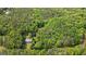 Expansive wooded property featuring a charming home with a blue roof nestled among lush greenery at 725 & 761 School Road, Hampton, GA 30228