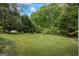 Expansive backyard featuring lush greenery and mature trees, offering privacy and a serene outdoor space at 725 & 761 School Road, Hampton, GA 30228