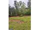 Spacious backyard showing mature trees and a trampoline in a wooded area at 374 Persimmon Dr, Sharpsburg, GA 30277
