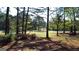Picturesque view of a golf course framed by mature trees and natural landscaping on a sunny day at 8040 Classic Dr, Jonesboro, GA 30236
