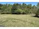 Lush backyard with a well-maintained lawn at 8315 Ridge Rd, Fairburn, GA 30213