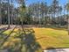 A well manicured lawn in the backyard of the property at 412 Guildhouse Dr # 38, Mcdonough, GA 30252