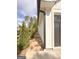 Paved walkway along the side of the house leads to the garage, enhanced by well-maintained landscaping at 3550 N Bogan Rd, Buford, GA 30519