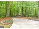 Long driveway leading up to a home surrounded by lush greenery and purple flowers at 145 Flat Creek Ct, Fayetteville, GA 30214