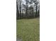 Expansive property with tall trees, showcasing a natural, open landscape ready for customization at 4064 Sunset Sw Dr, Atlanta, GA 30331