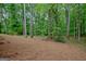 Tranquil backyard scene with dense trees and a thick layer of pine straw, creating a serene setting at 120 Hermitage Pl, Peachtree City, GA 30269