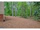 Secluded backyard covered with pine straw and bordered by mature trees, offering privacy at 120 Hermitage Pl, Peachtree City, GA 30269