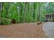 Expansive backyard with tall trees, a storage shed, and ample space for outdoor activities at 120 Hermitage Pl, Peachtree City, GA 30269