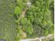 Secluded property with lush green trees at 165 White Rose Ln, Temple, GA 30179