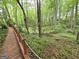 Wooden walkway meandering through lush greenery, perfect for a nature walk at 80 Jacksons Vly, Sharpsburg, GA 30277