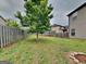 A large, grassy backyard featuring a young tree and framed by a wooden fence at 305 Mango Ct, Mcdonough, GA 30253