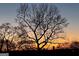 Beautiful golden sunset silhouetting trees creates a peaceful view at 2897 Macaw Nw St, Atlanta, GA 30318
