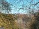 Distant cityscape view framed by natural foliage at 2897 Macaw Nw St, Atlanta, GA 30318