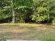 Cozy home nestled amongst large trees, offering shade and privacy in a natural, wooded setting at 106 Amblewood Ct, Peachtree City, GA 30269