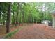 The backyard features mature trees, lush ground cover, and a storage shed at 416 Line Creek Cir, Sharpsburg, GA 30277