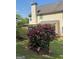 Well-maintained backyard with lush landscaping and inviting outdoor spaces at 117 Rendition Dr, Mcdonough, GA 30253