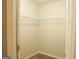 Walk-in closet boasting carpeted floors and wire shelving offering ample storage solutions at 65 Heaton Place Trl, Covington, GA 30016