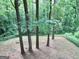 A view of the tree-filled backyard with a border fence at 260 Pinehurst Dr, Stockbridge, GA 30281