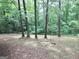 A view of the yard with a border fence at 260 Pinehurst Dr, Stockbridge, GA 30281