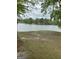 Scenic lake view framed by trees and greenery, with homes visible in the distance at 854 Clearwater Rd, Sharpsburg, GA 30277