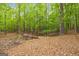 Charming wooden bridge surrounded by a lush forest at 40 Kelsey Way, Palmetto, GA 30268